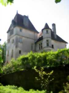 photo Visite commentée du château de La Hierce