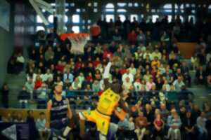 photo Match de Basket N2 - Niort / Adour Dax Basket