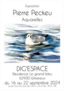 photo EXPOSITION - PIERRE PECKEU