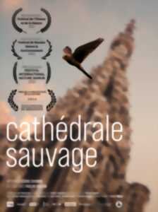 Ciné-débat : Cathédrale sauvage