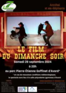 photo Le Film du Dimanche Soir