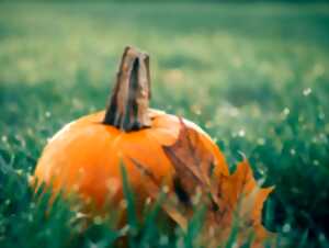 Atelier enfant pour Halloween