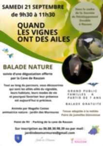 photo Balade nature Quand les vignes ont des ailes