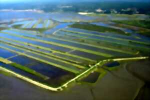 photo Domaine de Certes et Graveyron : Atelier - Ici commence la mer