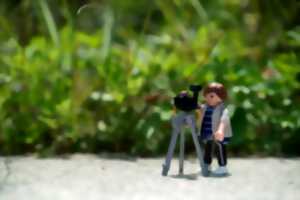 photo Exposition Playmobil