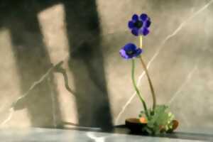 photo Atelier Ikebana, l'art floral japonais dédié aux cinq sens