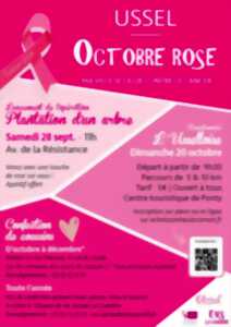 Octobre Rose