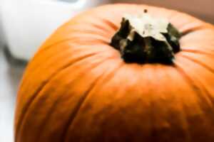 photo Halloween au casino de la plage: Estimez le poids de la citrouille (accès réservé aux personnes majeures)