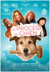 photo Cinéma - Le procès du chien