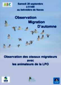 photo Observation des oiseaux migrateurs