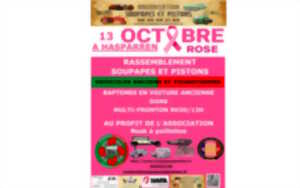 photo Octobre Rose : Rassemblement du club Soupapes et pistons