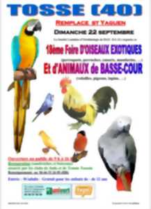 photo 18ème Foire d'oiseaux exotiques et d'animaux de basse-cour