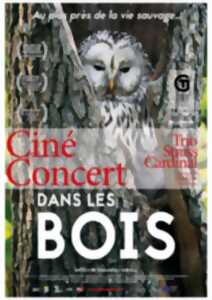 Ciné-concert - Cie Le Limaçon - 