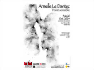 Exposition I Armelle Le Dantec