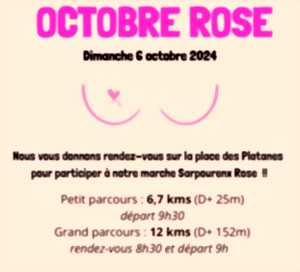 photo Marche pour Octobre Rose