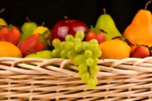 Exposition de fruits et légumes