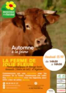 photo Automne à la Ferme - La Ferme de Jolie Fleur : Animaux de la Ferme et création d'Art