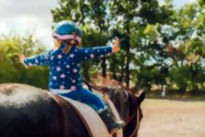 Stage d'équitation