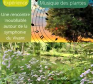 photo La musique des plantes au coeur de La Vallée de Courtineau