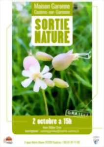 photo SORTIE NATURE