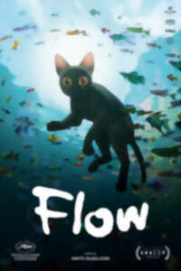 photo LE FILM  «FLOW» : DANS LE CADRE DU FESTIVAL DU FILM D’ENVIRONNEMENT ET DE LA FÊTE DE LA SCIENCE