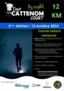 photo 'TOUT CATTENOM COURT BY NIGHT' - TRAIL NOCTURNE 2E ÉDITION