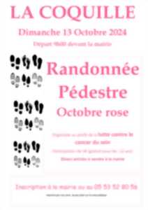 photo Octobre Rose - Marche