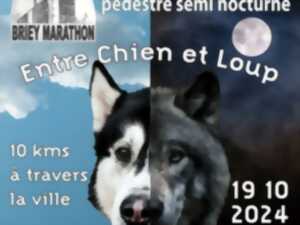 photo COURSE PEDESTRE ENTRE CHIEN ET LOUP