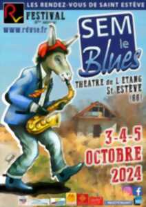 photo FESTIVAL SEM LE BLUES - 8ÈME ÉDITION