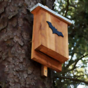 Atelier nichoirs à oiseaux et chauves-souris et mangeoires - Atlas de la biodiversité