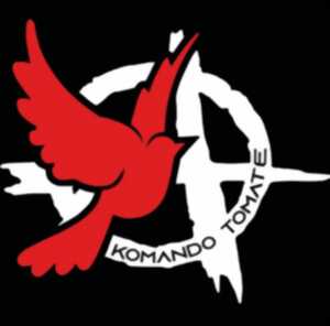 Concert - Komando Tomate - Garage band