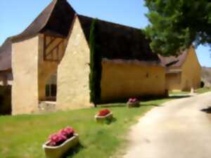 Journées du Patrimoine Industriel en Fumélois : Des arbres et des fours à chaux