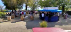 Fête des vendanges et randonnée au Château de Garbes