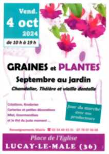 Graines et plantes