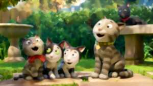 photo Ciclic Animation -