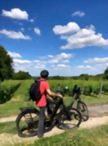 Fascinant week-end - A vélo à travers le vignoble en Vendômois