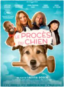 Cinéma Arudy : Le procès du chien