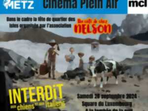 photo CINÉMA PLEIN AIR - “INTERDIT AUX CHIENS ET AUX ITALIENS”