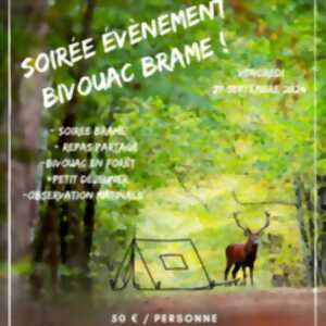 Le bivouac du brame