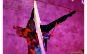 photo Espace Dantza - Danse