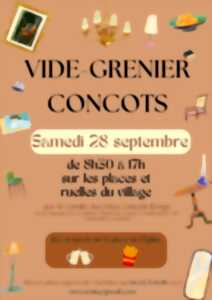 photo Vide-greniers à Concots