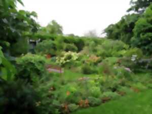 LE JARDIN DE MIREILLE JOUE LES PROLONGATIONS