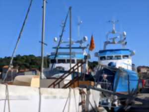 photo VISITE GUIDEE PORT-VENDRES AU FIL DE L'EAU