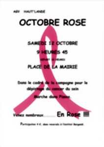 photo OCTOBRE ROSE