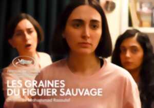 Cinéma Arudy : Les graines du figuier sauvage VOSTFR