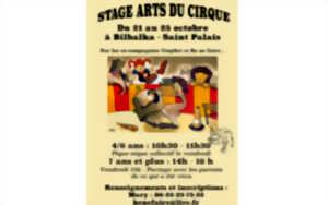 Stage Arts du Cirque