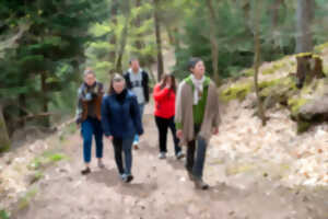 photo Sortie bain de forêt