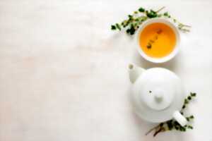 Atelier tisane : Sans Thé - Immunité