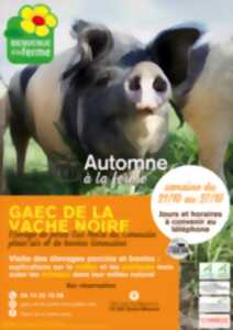 Automne à la ferme - GAEC de la Vache Noire