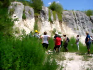 Chantier participatif à la Réserve Naturelle Régionale Géologique de Tercis